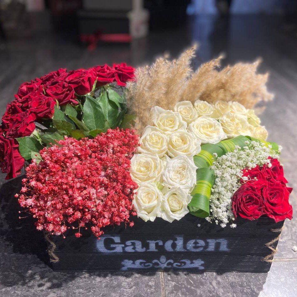 تابورية قاعدة خطبة او عرس 3