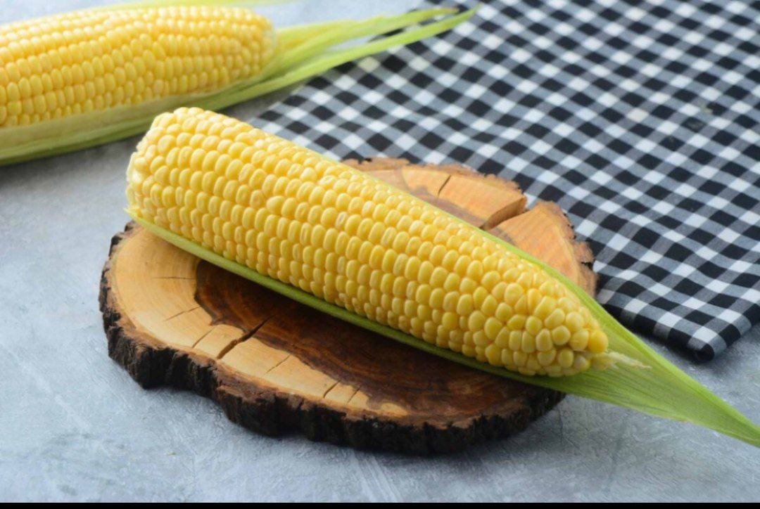 عرنوس ذرة مسلوق