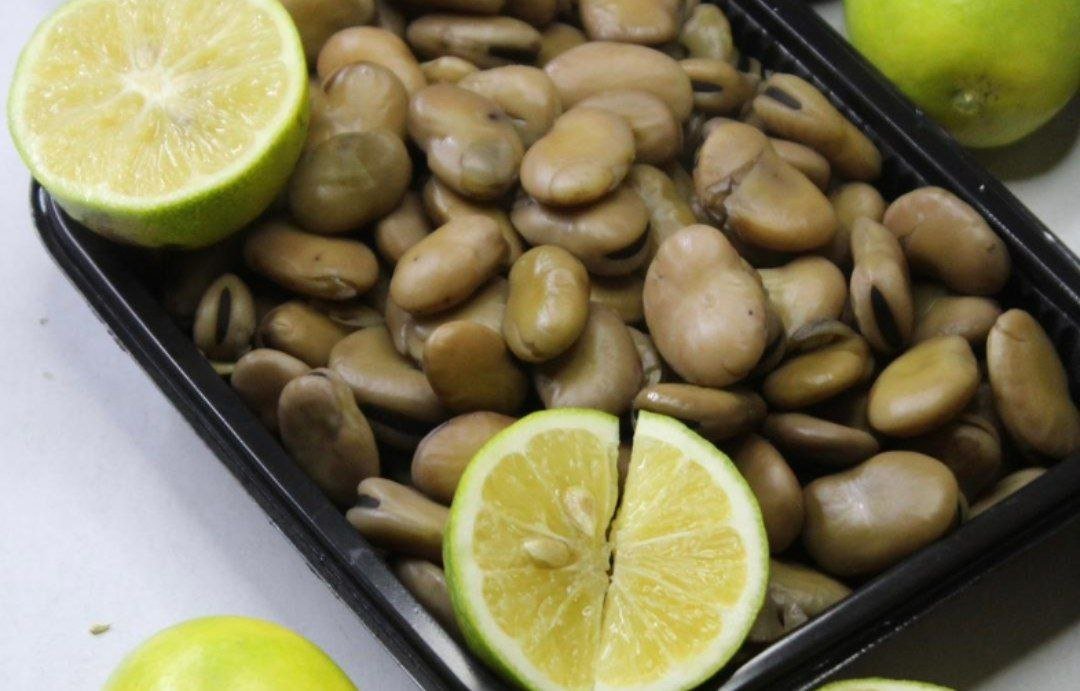 فول نابت ( حجم عائلي )