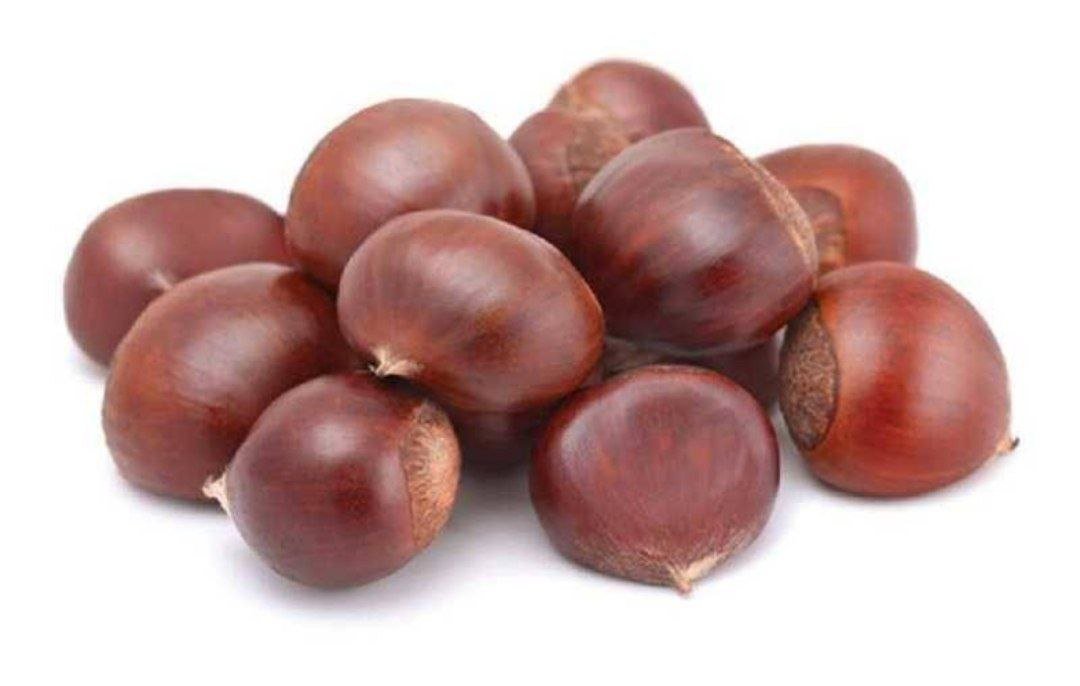 كستناء تركية