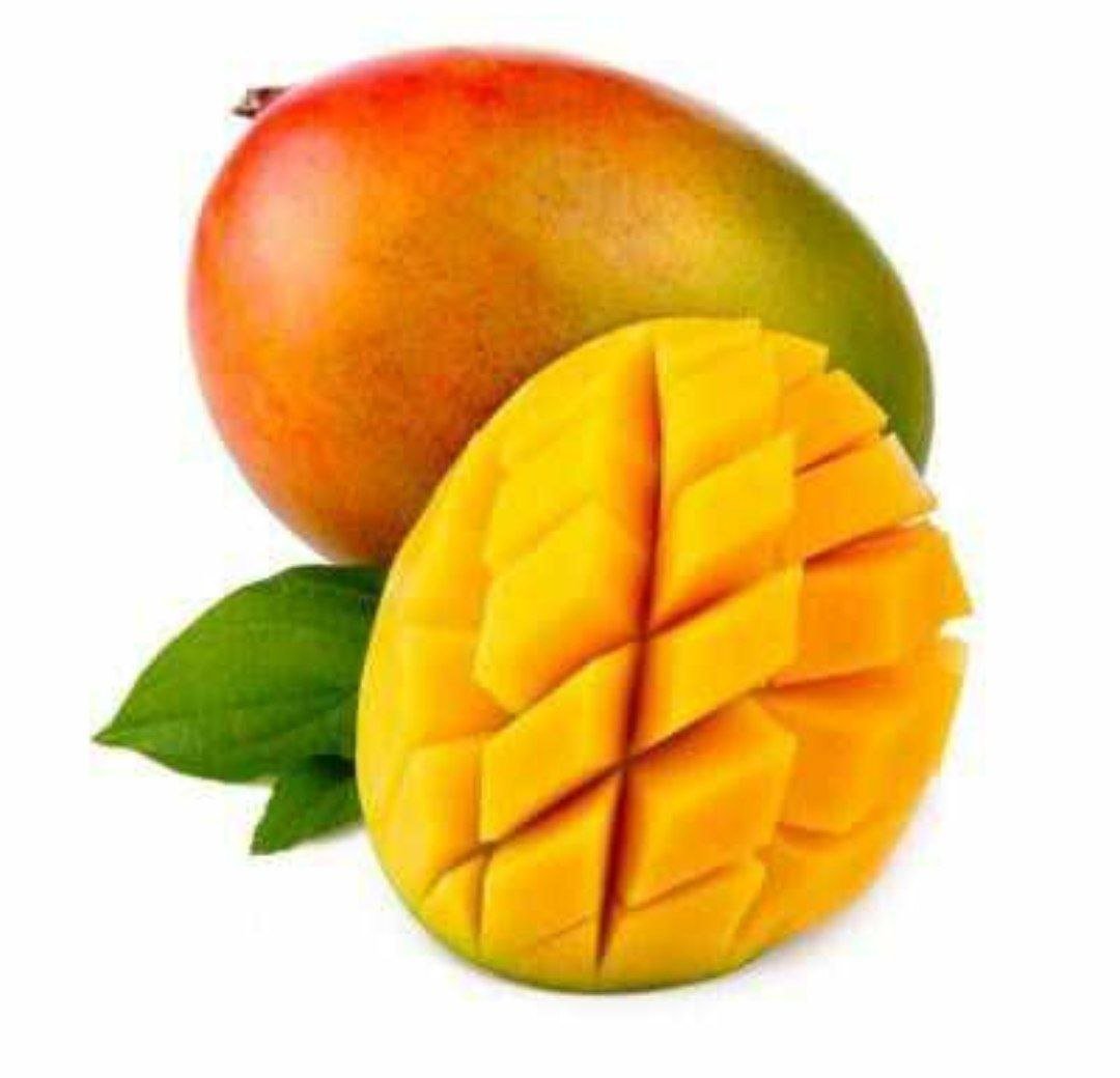 مانجا مصريه